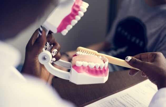 Dental jaw model